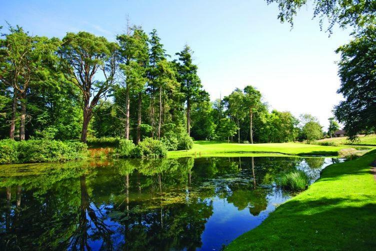 Craigie Dhu, Guest House Colliston Luaran gambar